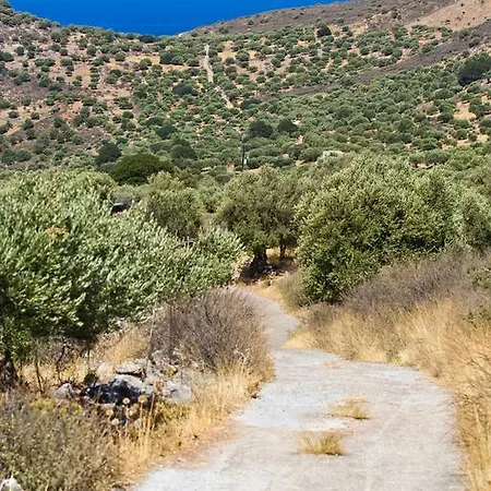Casa Di Giulietta * Massa Lubrense